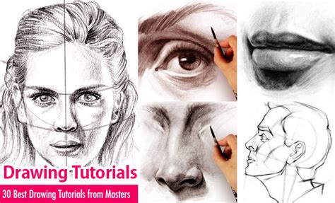 best drawing tutorials.